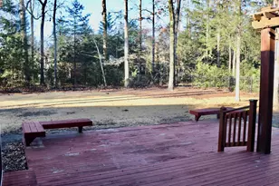 319 Sienna Dr, Chapin, SC 29036 - Photo 55