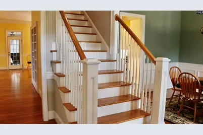 319 Sienna Drive, Chapin, SC 29036 - Photo 7