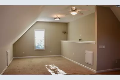 319 Sienna Drive, Chapin, SC 29036 - Photo 61