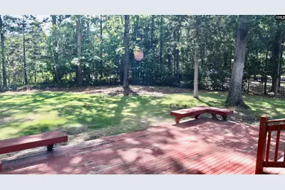 319 Sienna Drive, Chapin, SC 29036 - Photo 37