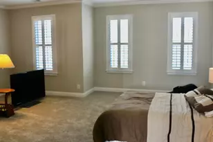 319 Sienna Dr, Chapin, SC 29036 - Photo 33