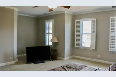 319 Sienna Drive, Chapin, SC 29036 - Photo 63