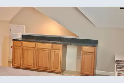 319 Sienna Drive, Chapin, SC 29036 - Photo 29