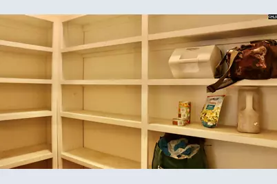 319 Sienna Drive, Chapin, SC 29036 - Photo 21