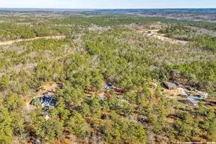 1335 Hwy 21, Swansea, SC 29160 - Photo 51