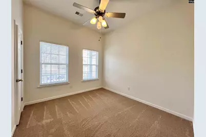 213 Moyer Drive, Chapin, SC 29036 - Photo 41