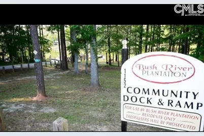 213 Moyer Drive, Chapin, SC 29036 - Photo 55