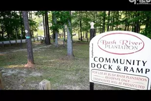 213 Moyer Dr, Chapin, SC 29036 - Photo 55