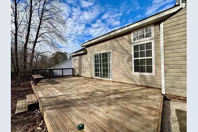 213 Moyer Drive, Chapin, SC 29036 - Photo 49