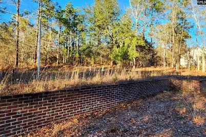 708 Calvary Church Road, Swansea, SC 29160 - Photo 1
