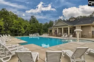 2494 Green Viper Loop, Blythewood, SC 29016 - Photo 53