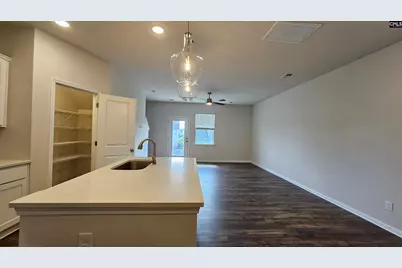 248 Sunny Hill Drive, Blythewood, SC 29016 - Photo 17