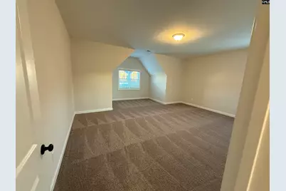 2347 Hadley Crossing, Chapin, SC 29036 - Photo 19