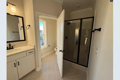 2347 Hadley Crossing, Chapin, SC 29036 - Photo 17