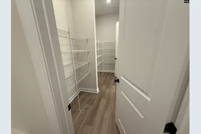 2347 Hadley Crossing, Chapin, SC 29036 - Photo 9