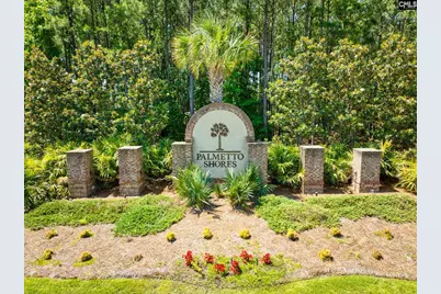 2347 Hadley Crossing, Chapin, SC 29036 - Photo 25