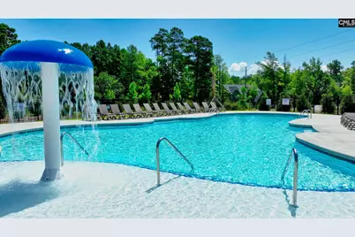 2347 Hadley Crossing, Chapin, SC 29036 - Photo 33