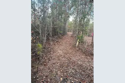 Goo 10A Wendell Lane Goo 10A, Wagener, SC 29164 - Photo 5