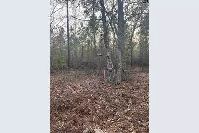 Goo 10A Wendell Lane Goo 10A, Wagener, SC 29164 - Photo 15