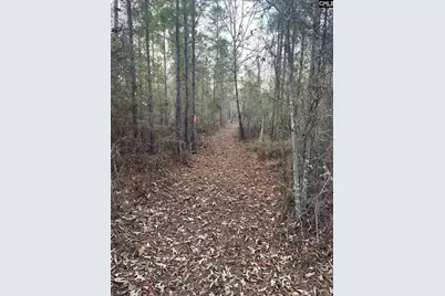 Goo 10A Wendell Lane Goo 10A, Wagener, SC 29164 - Photo 3
