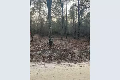 Goo 10A Wendell Lane Goo 10A, Wagener, SC 29164 - Photo 13