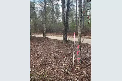 Goo 10A Wendell Lane Goo 10A, Wagener, SC 29164 - Photo 1