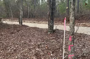 Goo 10A Wendell Ln Goo 10A, Wagener, SC 29164 - Photo 1