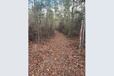 Goo 10B Wendell Lane Goo 10B, Wagener, SC 29164 - Photo 5