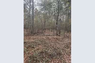 Goo 10B Wendell Lane Goo 10B, Wagener, SC 29164 - Photo 11