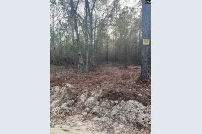 Goo 10B Wendell Lane Goo 10B, Wagener, SC 29164 - Photo 7