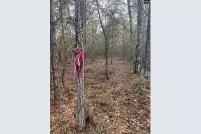 Goo 10B Wendell Lane Goo 10B, Wagener, SC 29164 - Photo 9