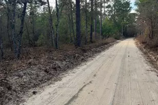 Goo 10B Wendell Ln Goo 10B, Wagener, SC 29164 - Photo 1