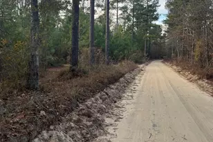 Goo 11A Wendell Ln Goo 11A, Wagener, SC 29164 - Photo 1