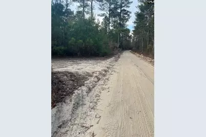 Goo 11A Wendell Lane Goo 11A, Wagener, SC 29164 - Photo 3