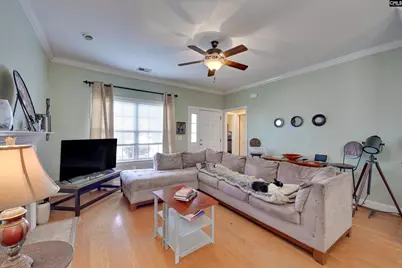 120 Amelia Forest Lane, Columbia, SC 29209 - Photo 3