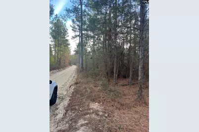 Goo 11B Wendell Lane Goo 11B, Wagener, SC 29164 - Photo 1