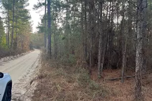 Goo 11B Wendell Ln Goo 11B, Wagener, SC 29164 - Photo 1