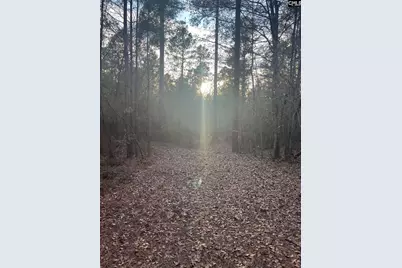 Goo 11B Wendell Lane Goo 11B, Wagener, SC 29164 - Photo 3