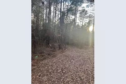 Goo 11B Wendell Lane Goo 11B, Wagener, SC 29164 - Photo 5