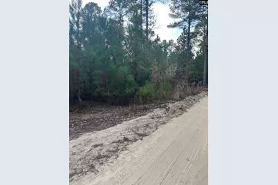 Goo 11B Wendell Lane Goo 11B, Wagener, SC 29164 - Photo 13