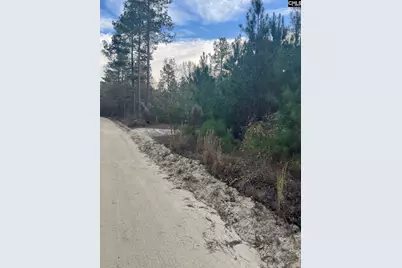 Goo 11B Wendell Lane Goo 11B, Wagener, SC 29164 - Photo 11