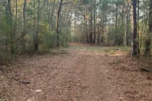 Dsh 4 Wagener Road Dsh 4, Wagener, SC 29164 - Photo 1