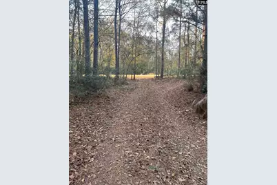Dsh 4 Wagener Road Dsh 4, Wagener, SC 29164 - Photo 3