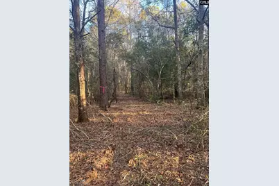 Dsh 4 Wagener Road Dsh 4, Wagener, SC 29164 - Photo 7