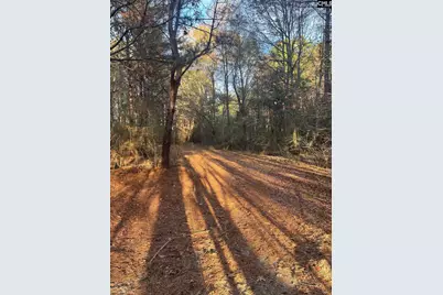 Dsh 4 Wagener Road Dsh 4, Wagener, SC 29164 - Photo 5
