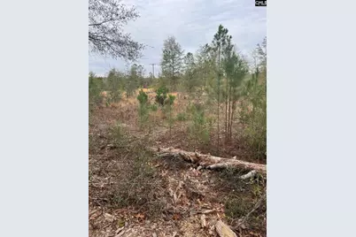 Whl 7 Rainbow Drive Whl 7, Salley, SC 29137 - Photo 5