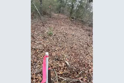 Whl 7 Rainbow Drive Whl 7, Salley, SC 29137 - Photo 3