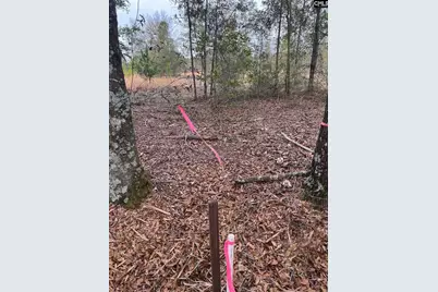 Whl 7 Rainbow Drive Whl 7, Salley, SC 29137 - Photo 9