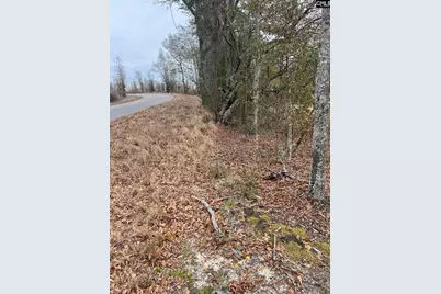 Whl 7 Rainbow Drive Whl 7, Salley, SC 29137 - Photo 15