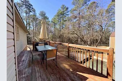250 Dixieland Trail, Leesville, SC 29070 - Photo 27